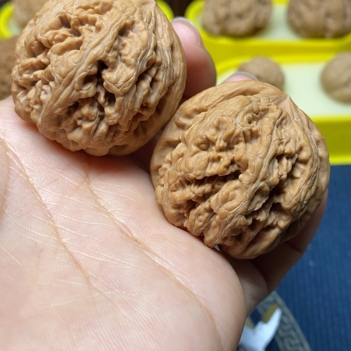 文玩核桃大粗筋39