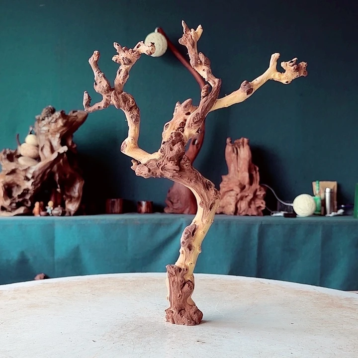 黑果木润*130金丝红木羊蹄甲半成品