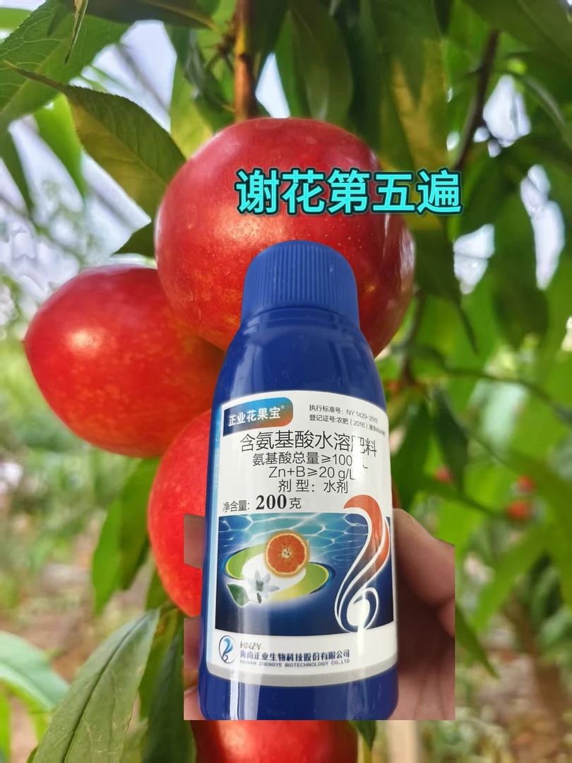 (谢花后第五遍)微量元素肥