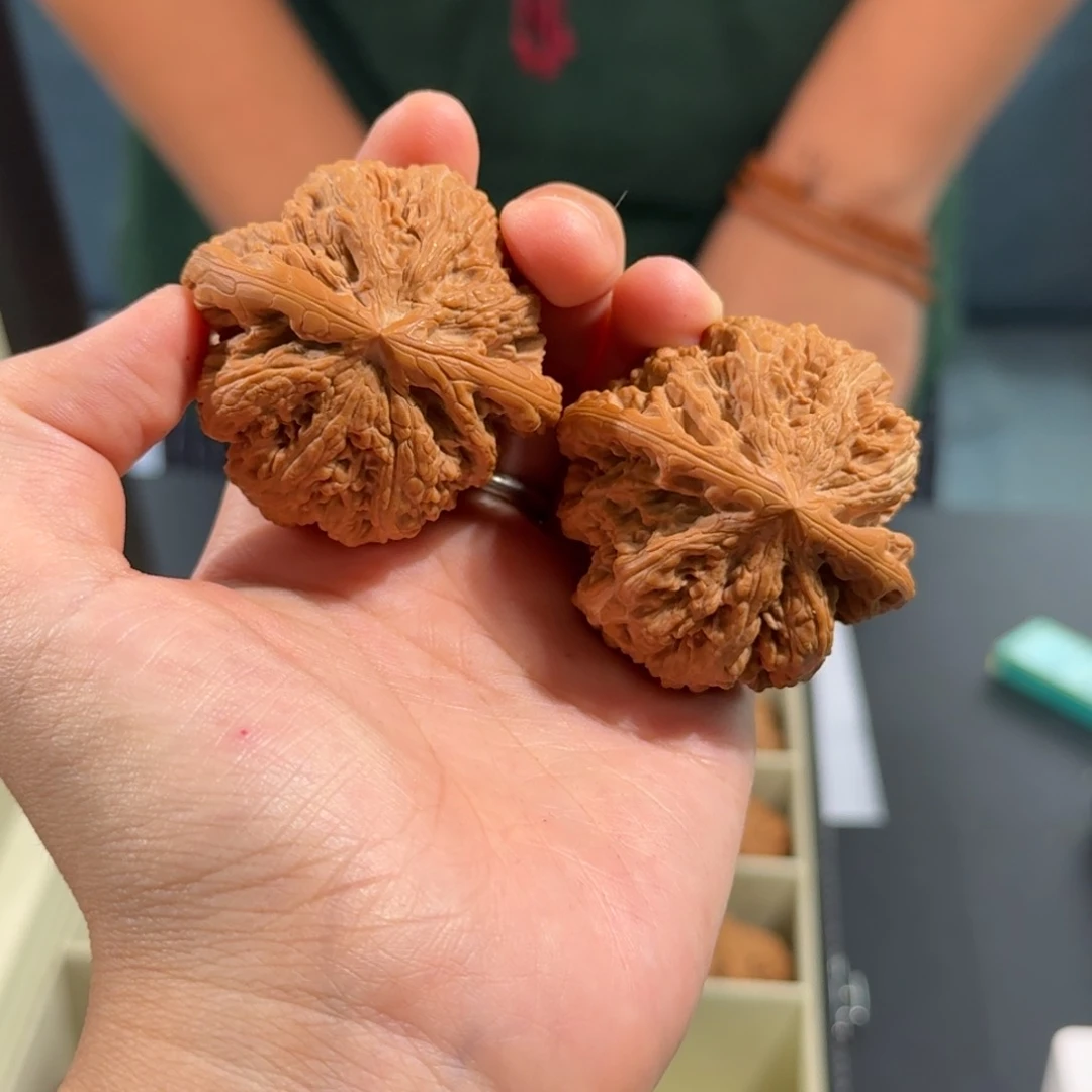 文玩核桃把件240号45mm平谷大粗筋