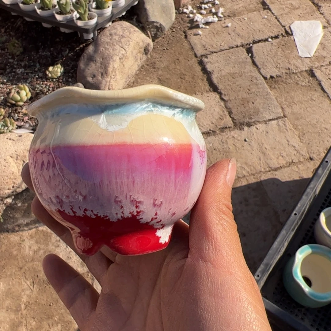 小号花盆 内口5cm