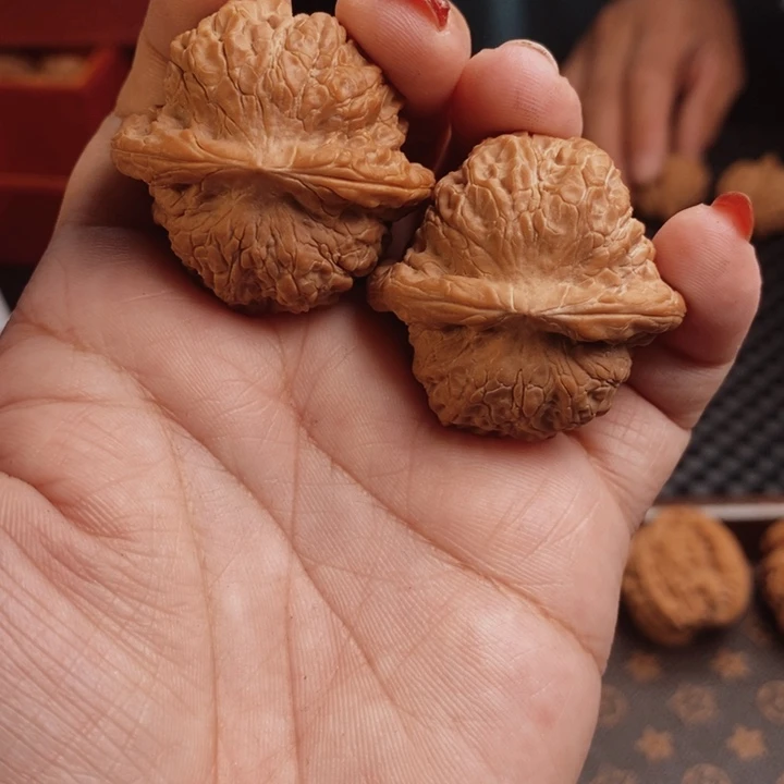 核桃血麒麟38尺核桃