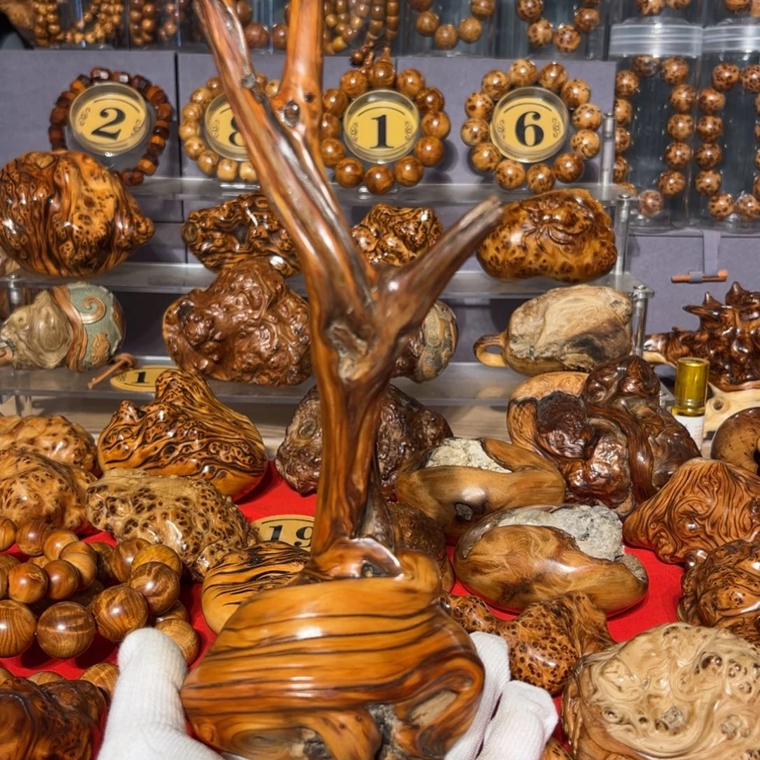 柏木太喜欢这个了