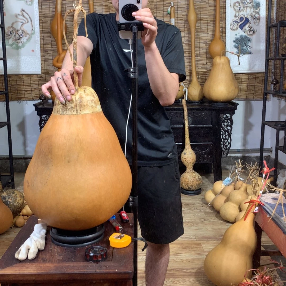 书*葫芦葫芦葫芦葫芦