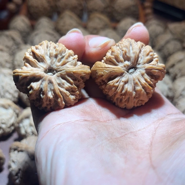 呐***哥核桃手串/手链南疆38尺寸