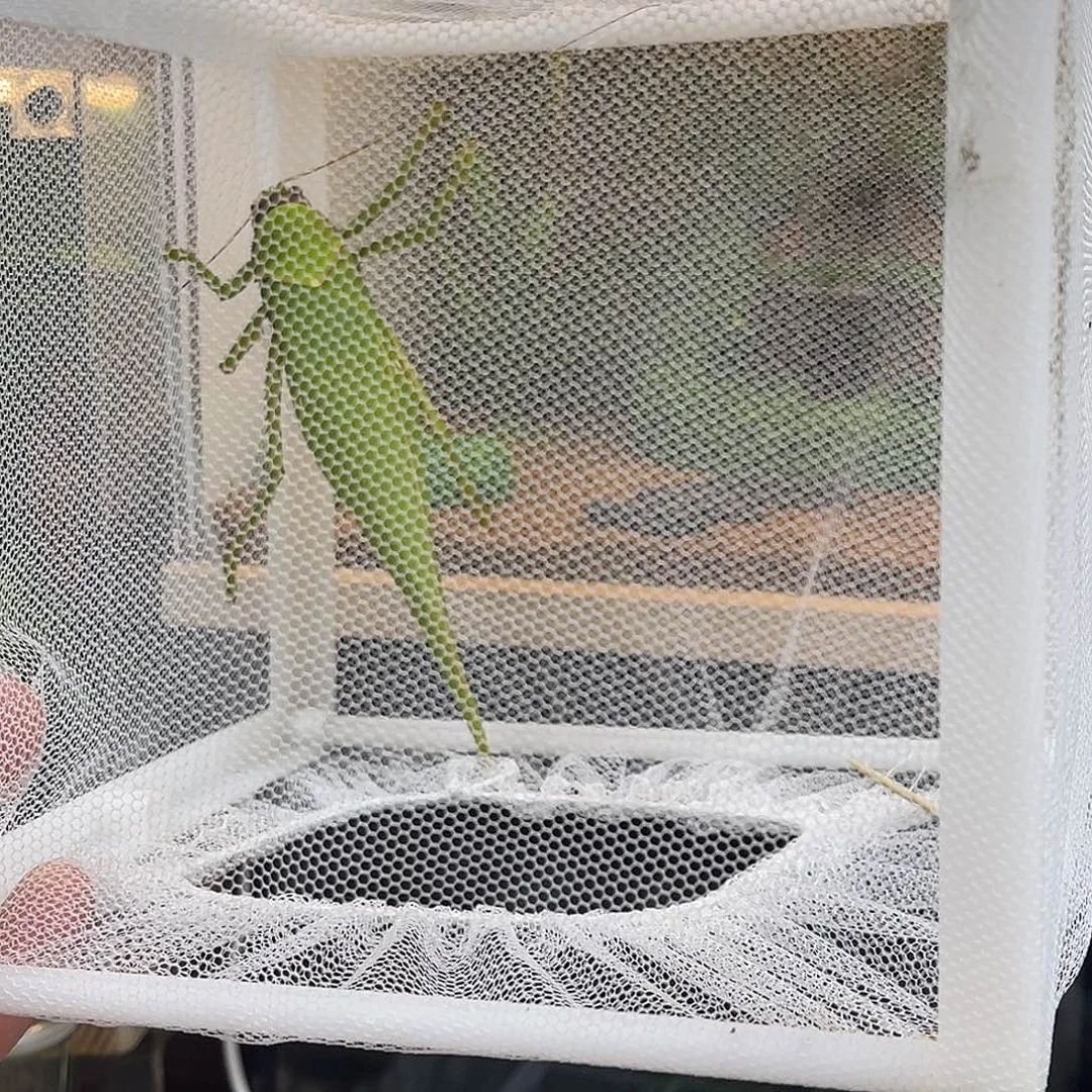 实木➕全品巨拟哦哈哈