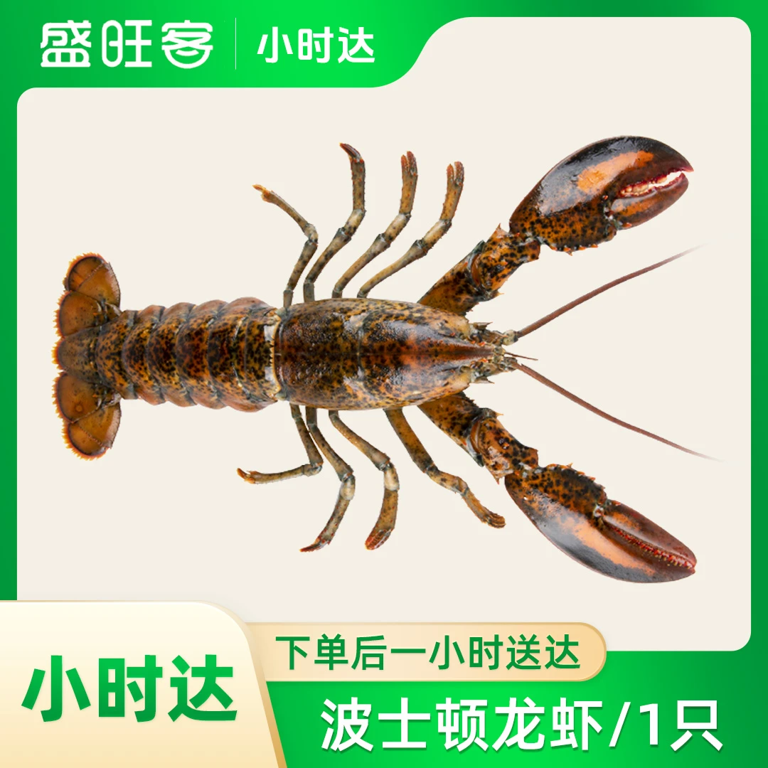 波士顿龙虾/1只 约400g-500g