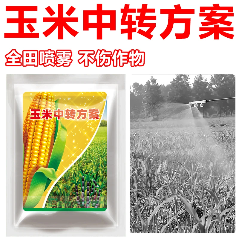 玉米田使用中转方案不伤农作物不影响正常生长有机质肥料S