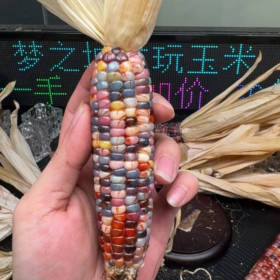 柏香籽/百香籽吊坠壹**景