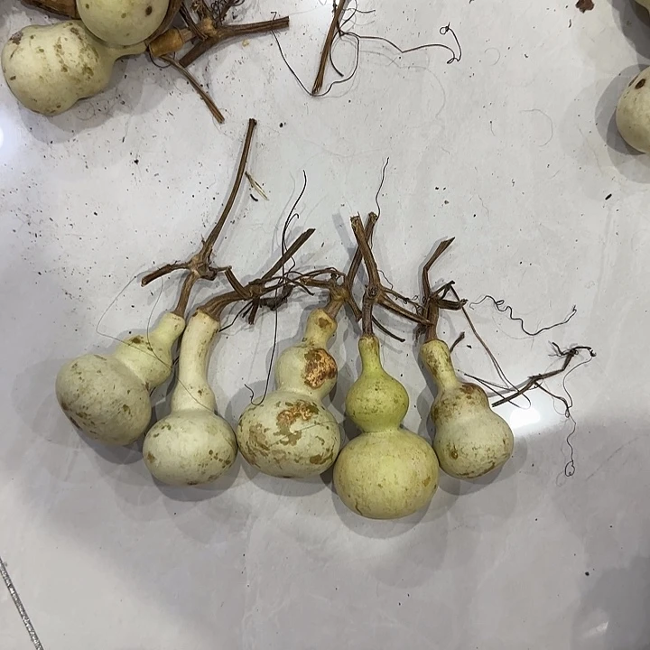 寒***葫芦danshnananana
