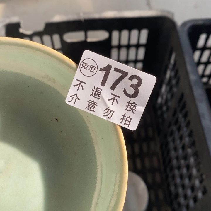 薇***诺陶瓷哭特就图有真相