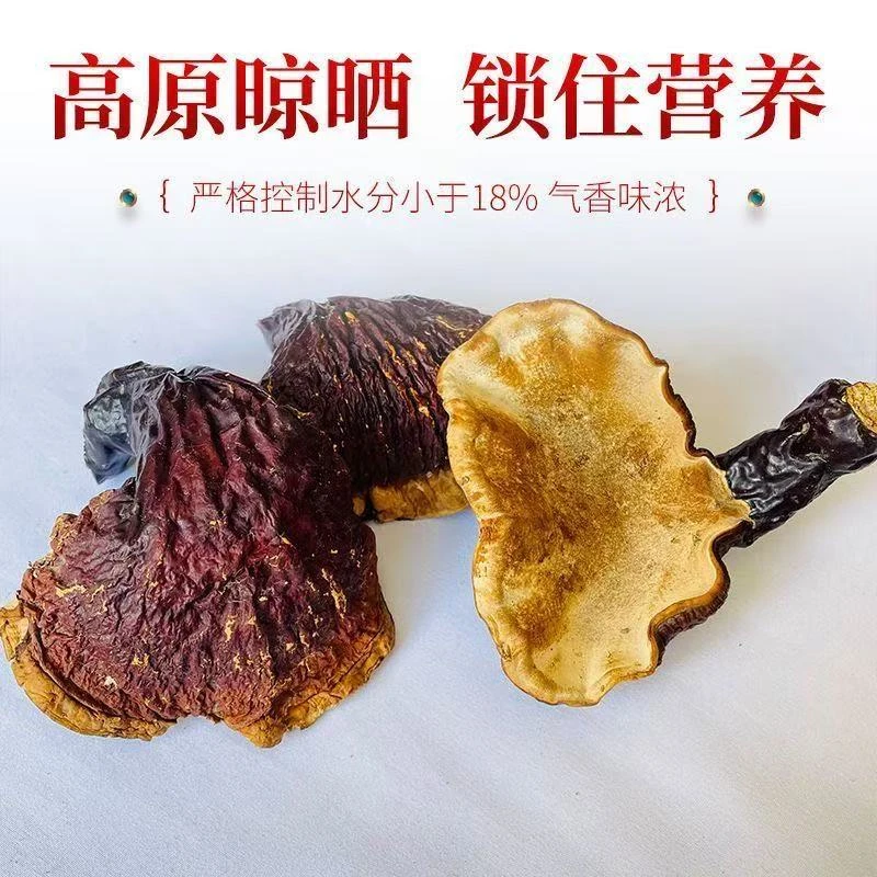 李国强专属西藏金边灵芝礼盒装拍一发二