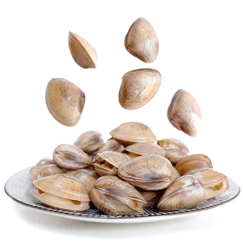 丹东东港本地黄蚬子