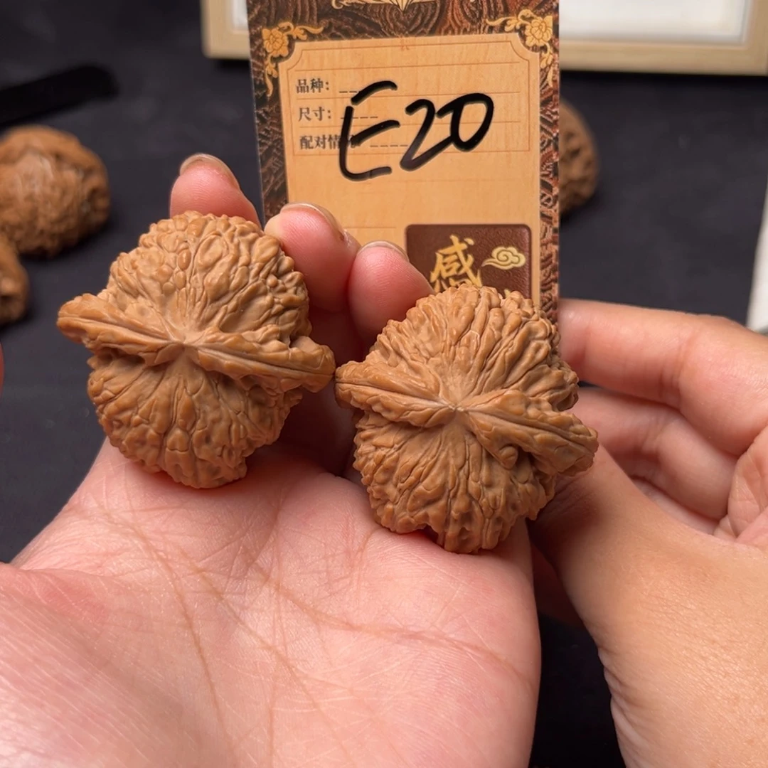 核桃e20白狮子1111