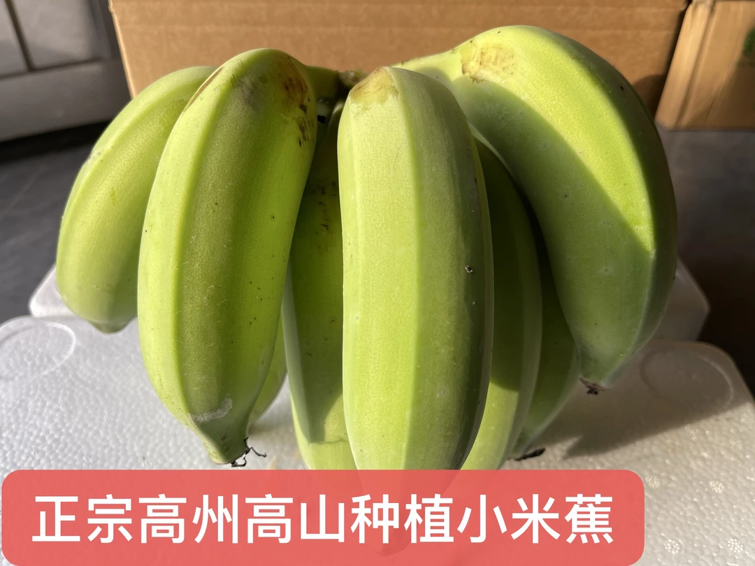 广东高州农户高山种植新鲜香甜小米蕉当季应季水果