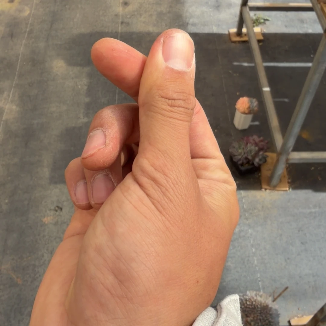 ****n一物一拍绿体暗纹88