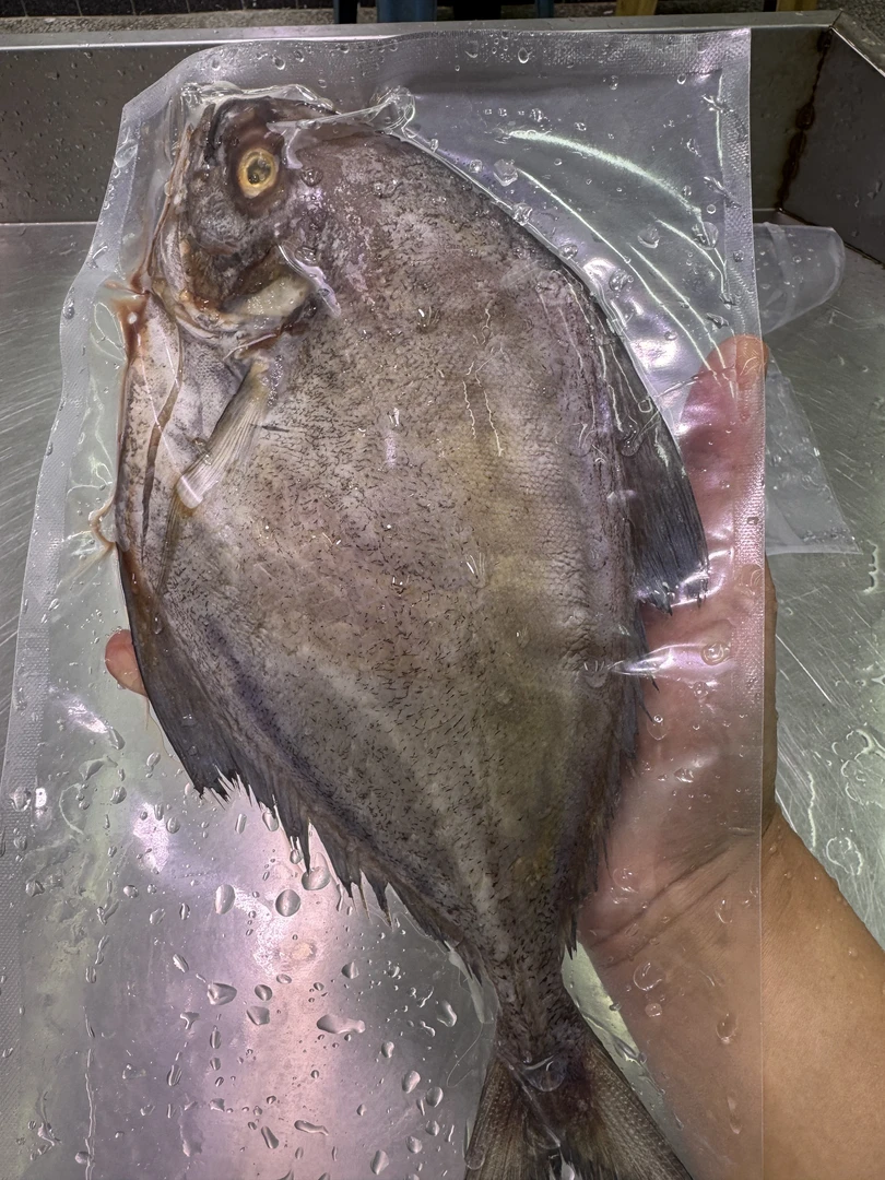 一夜埕 鸡鲳鱼 咸鲜 煎焖  3斤