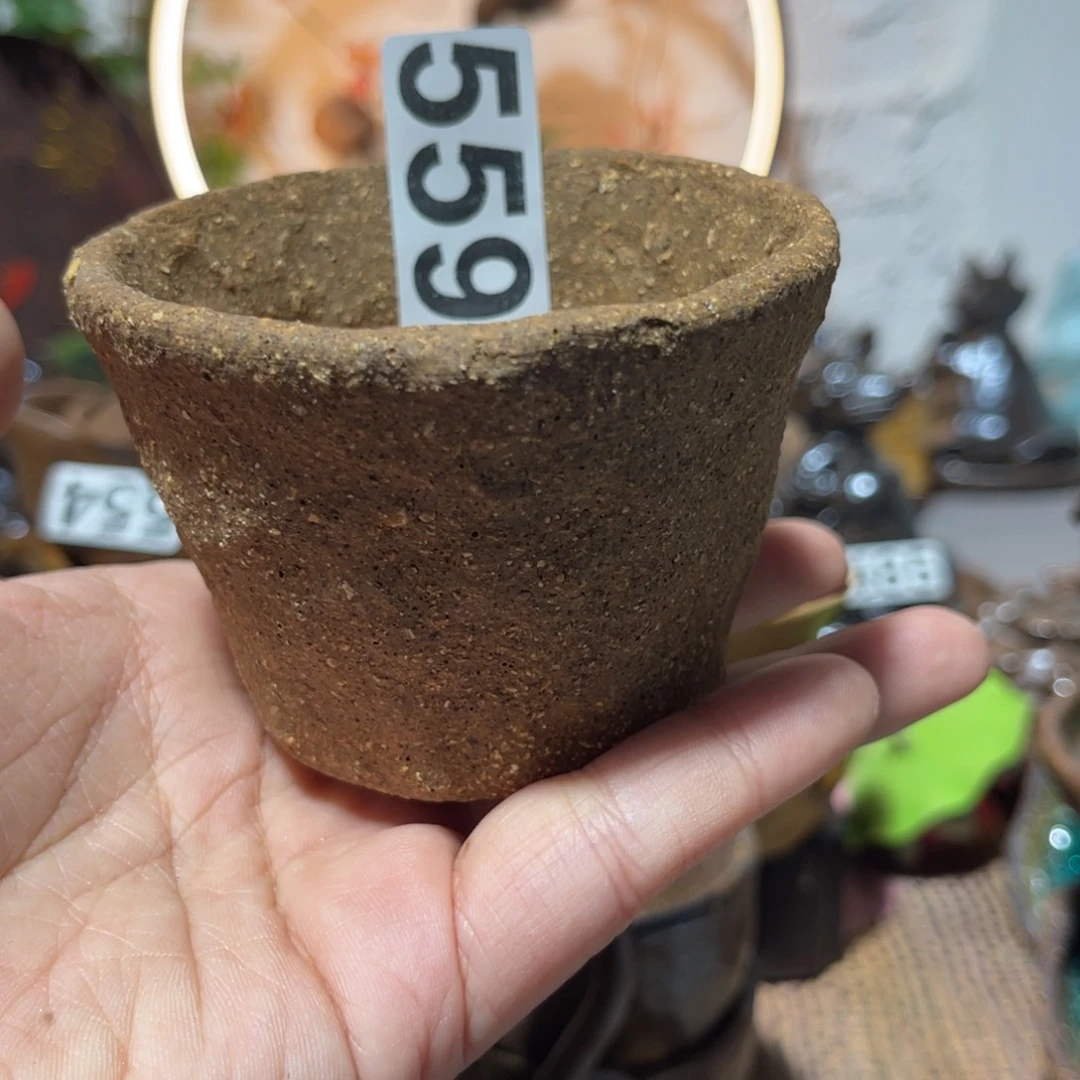 木村信弘柴烧保平