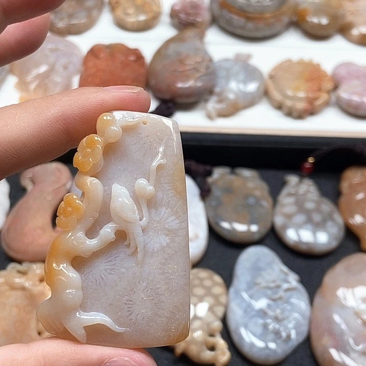 硅化珊瑚（珊瑚玉）未镶嵌颈饰