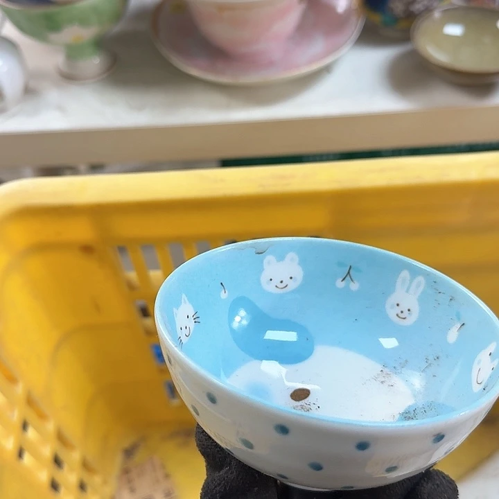 碗开播啦…..开播啦