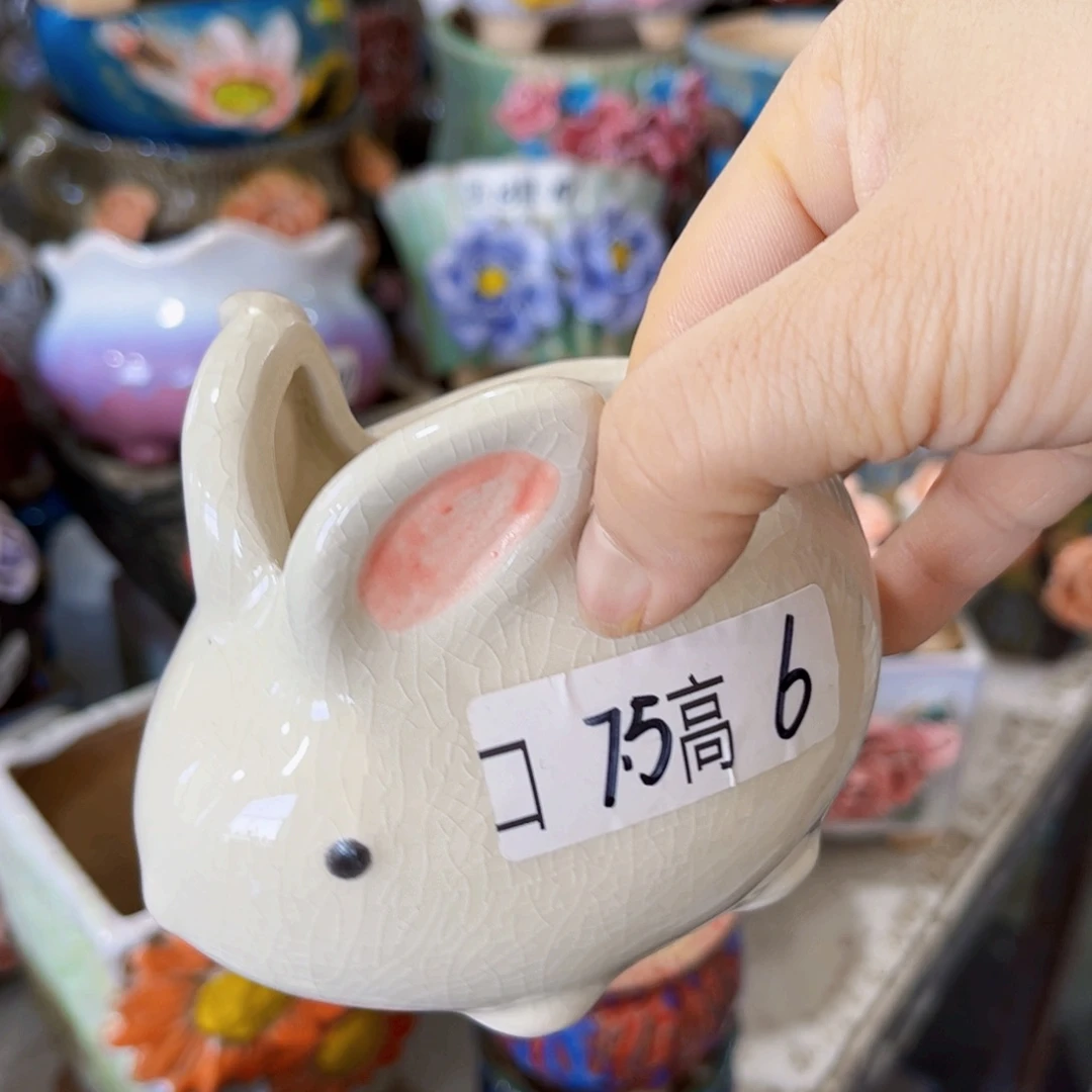 满18.8元包邮发货