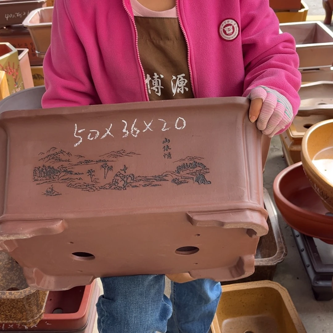 紫砂花盆盆景艺术