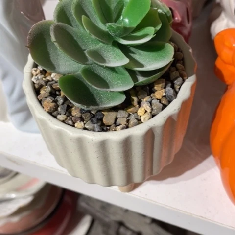 【闪购商品】碟摆件摆件摆件摆件摆件不