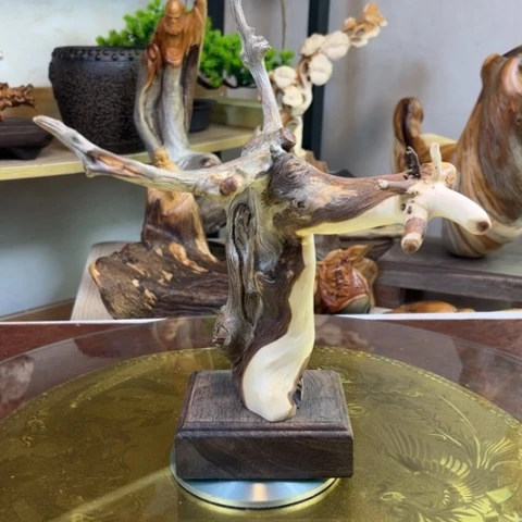 柏木（崖柏）b b b n n j n m m m m