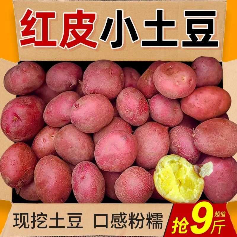 正宗云南高山红皮黄心小土豆粉糯小洋芋新鲜现挖5斤/9斤包邮整箱
