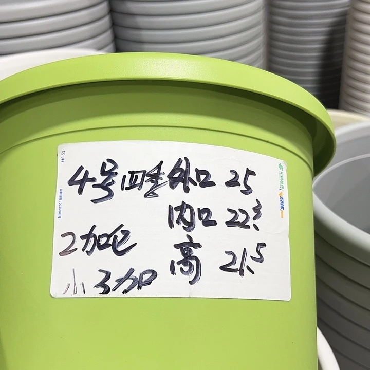 特价4号四季口25高21.5白色无托8个