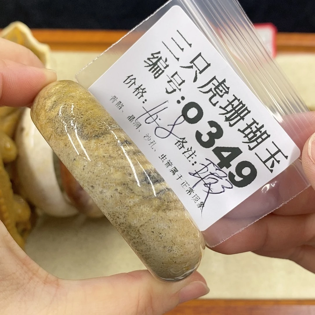 硅化珊瑚（珊瑚玉）1未镶嵌嘟*呀
