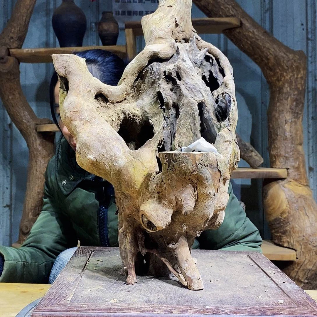 义**天小叶赤楠枯木摆件