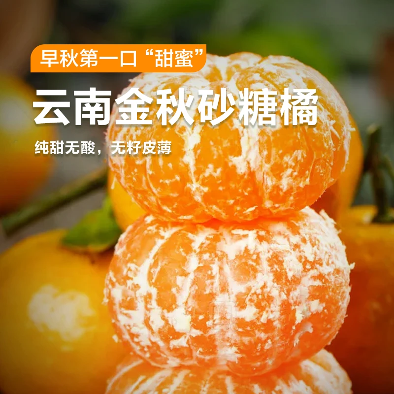 云南高原金秋沙糖桔新鲜水果橘子纯甜无酸当季皮薄柑橘产地直发
