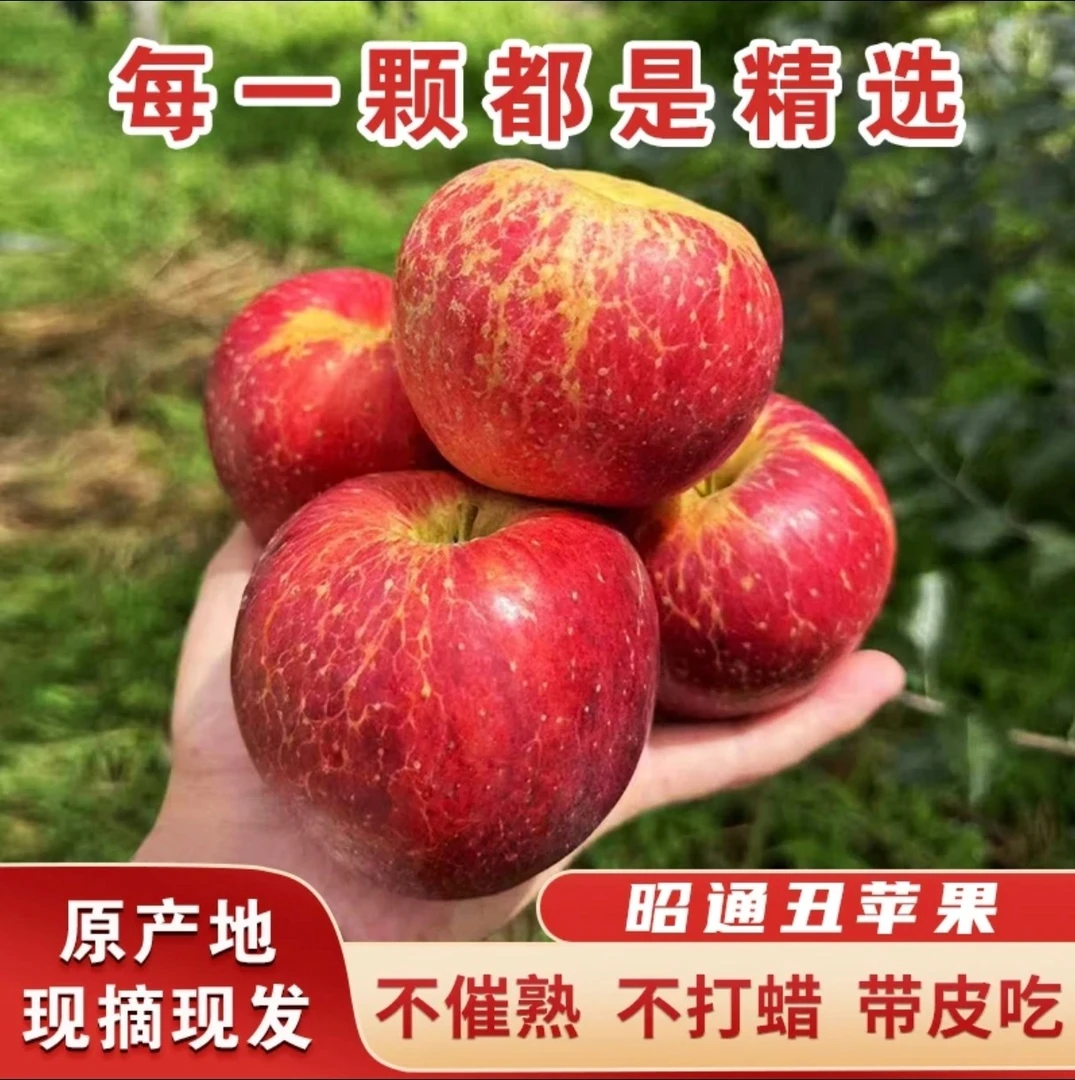 正宗云南昭通糖心丑苹果脆甜多汁现摘现发保证新鲜