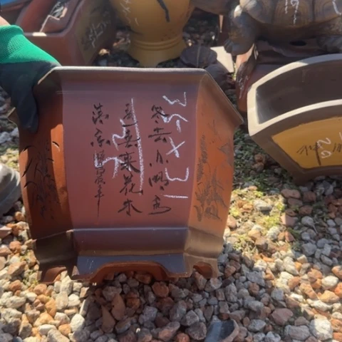 紫砂花盆紫砂花盆盆景盆栽