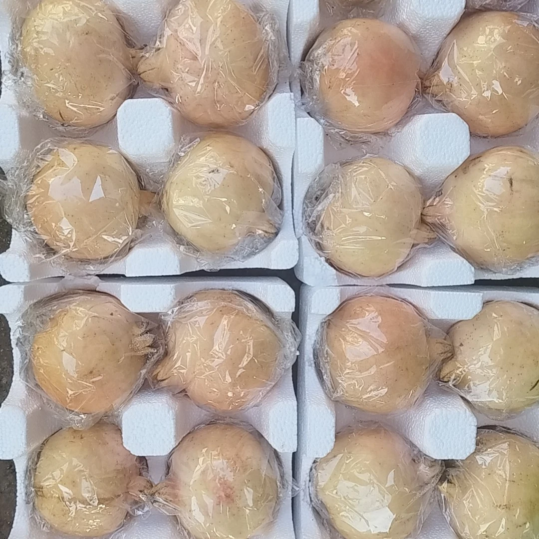 正宗临潼石榴.硬籽石榴