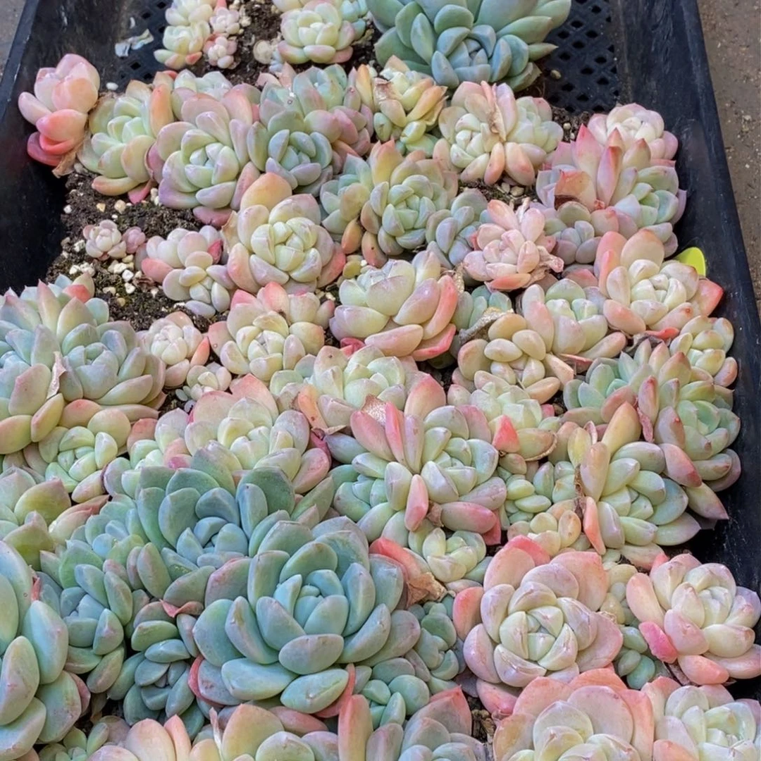 用****4304的人在一起的时候就