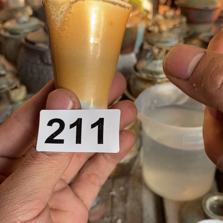 茶盏啦啦啦啦啦啦啦啦啦啦211