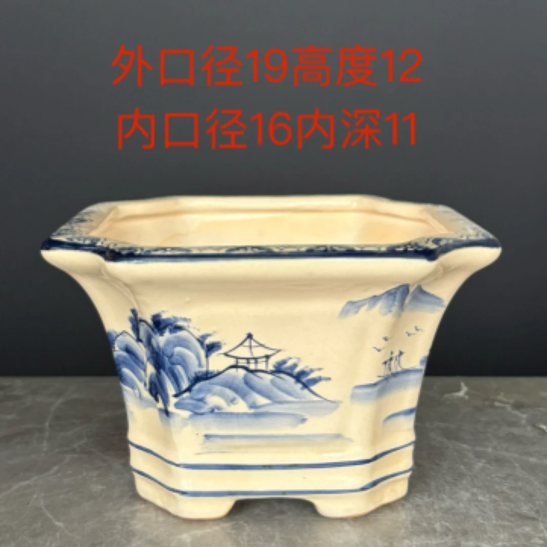 陶瓷青花四方盆花盆室内绿植君子兰黄洋罗汉松盆