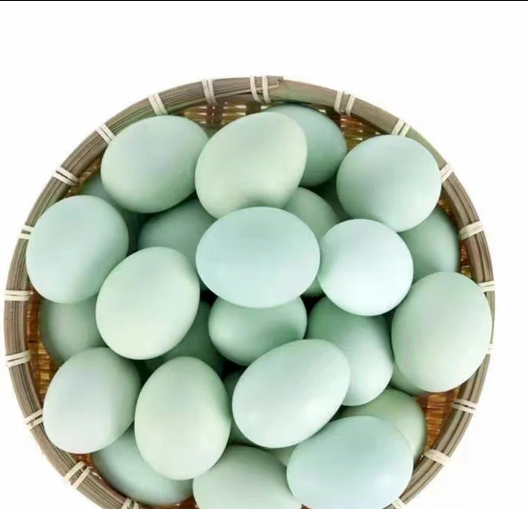 纯绿壳乌鸡蛋土鸡蛋正宗原产地新鲜发货20枚