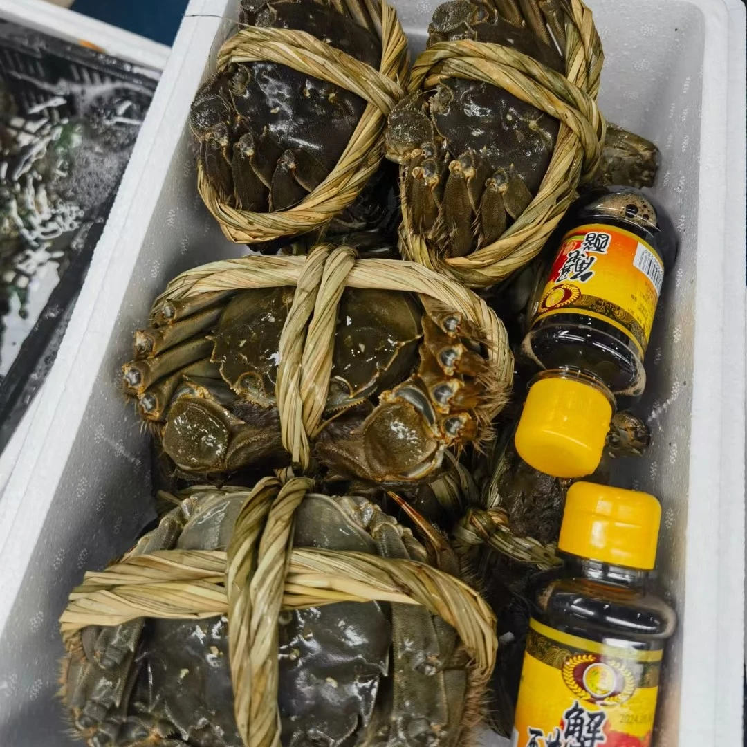 (推荐)精选太湖闸蟹十只礼盒装公母人选1.8/5两可以选择