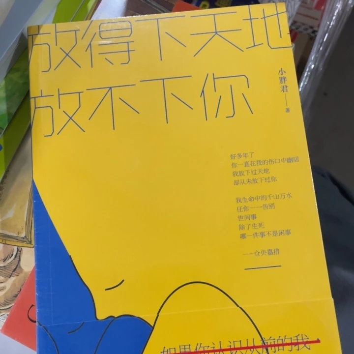 放得下天下，放不下你