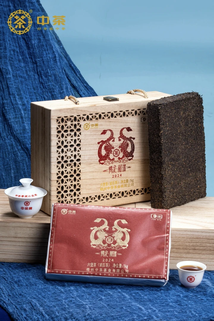 中茶六堡茶【龙砖】特级 2022年陈化 2024 年出厂100克分享装