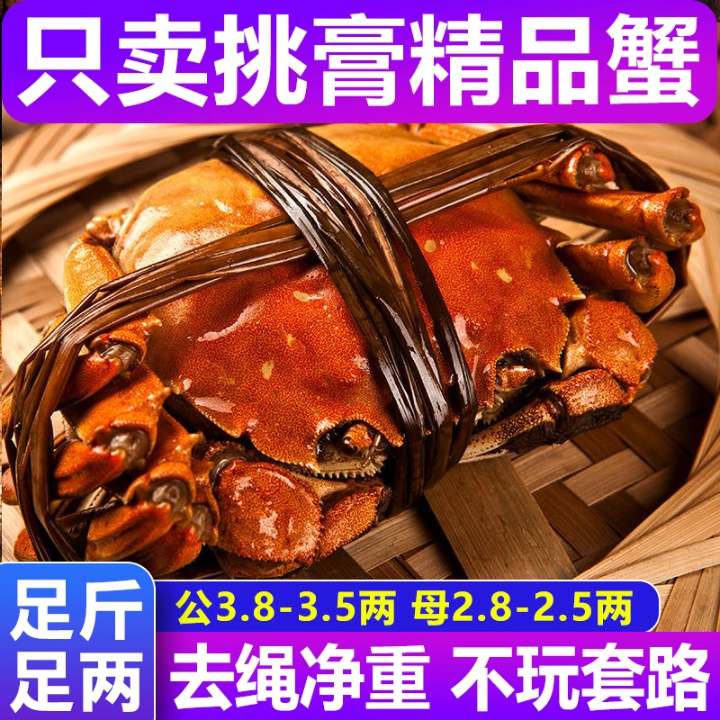 【活蟹】江苏精品大闸蟹公3.8-3.5两母2.8-2.5两6-10只螃蟹鲜活礼盒