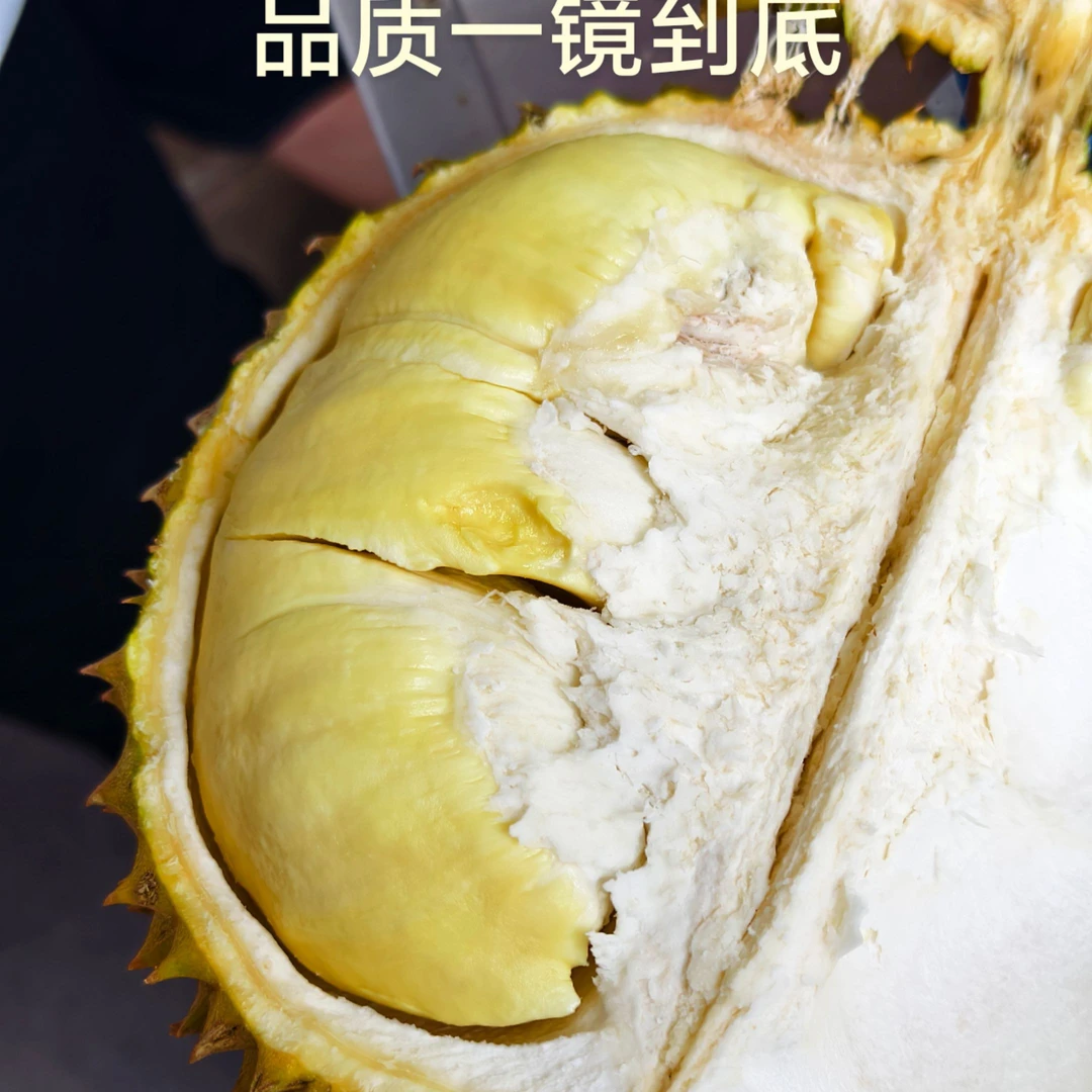 金枕榴莲肉1.5斤+赠半斤  新鲜 香味浓郁（现剥）核小金枕泰国榴莲同城配金枕泰国