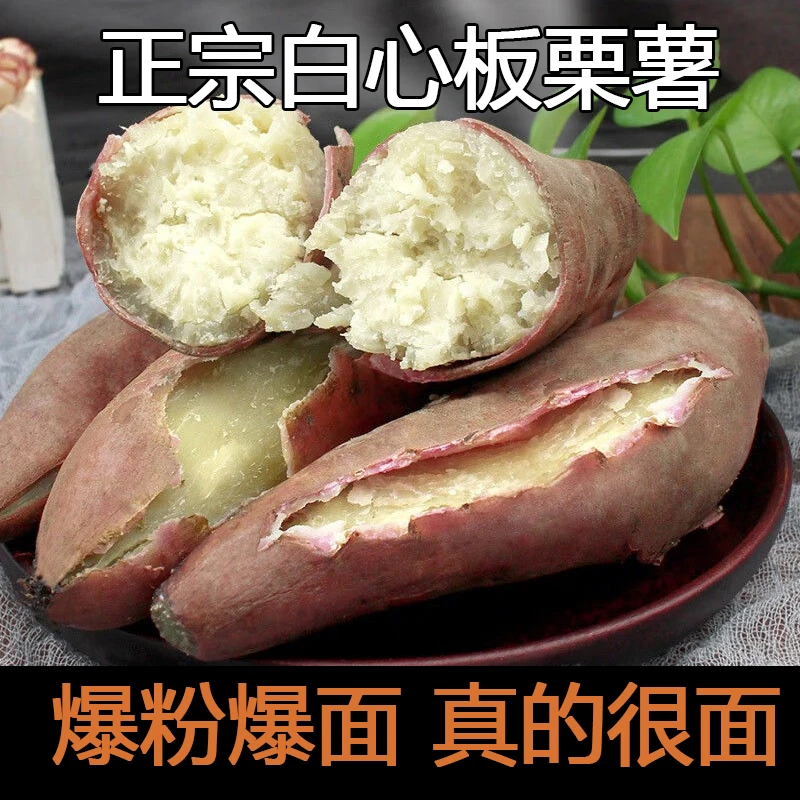 正宗新鲜白心板栗薯沙地现挖老品种番薯红皮XH