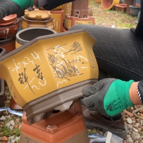 紫砂花盆紫砂花盆盆景盆栽