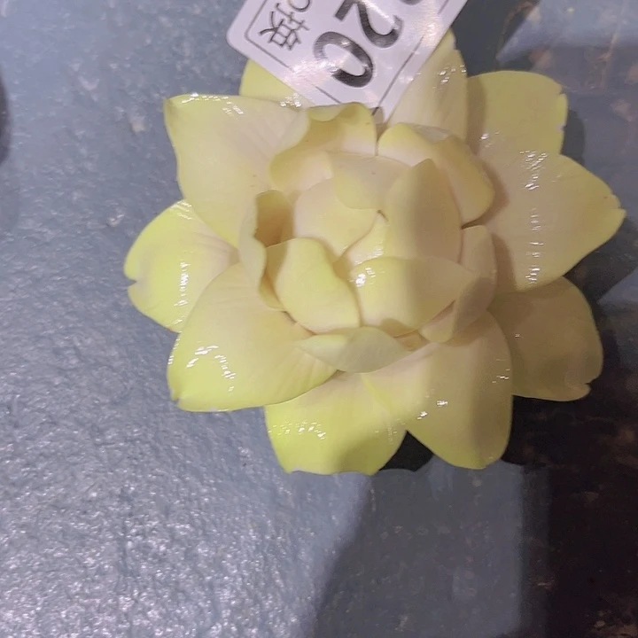 陶瓷艺术的发展和演变第三