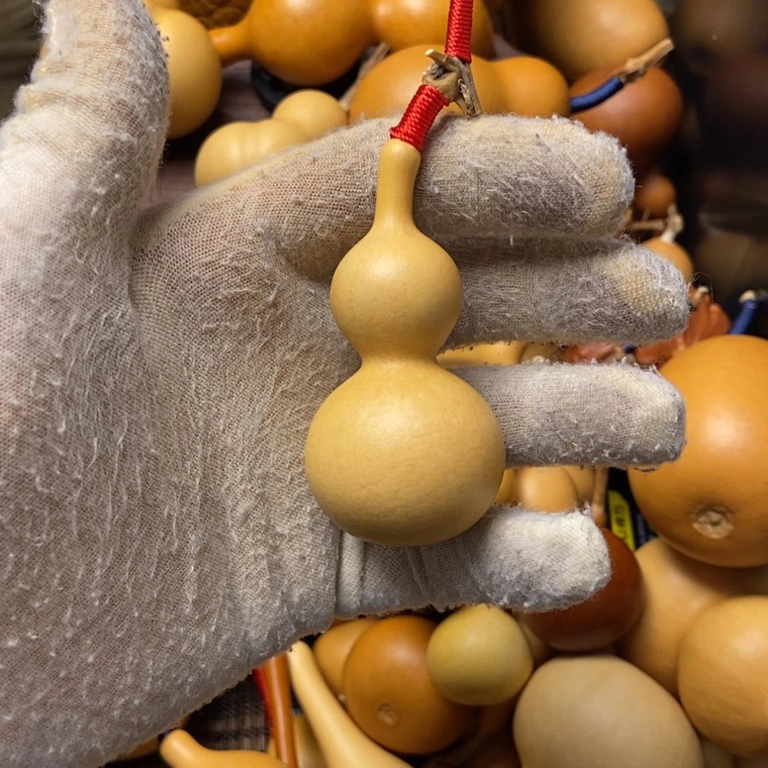 司***云tfdffghhhjjhhhvcccvg