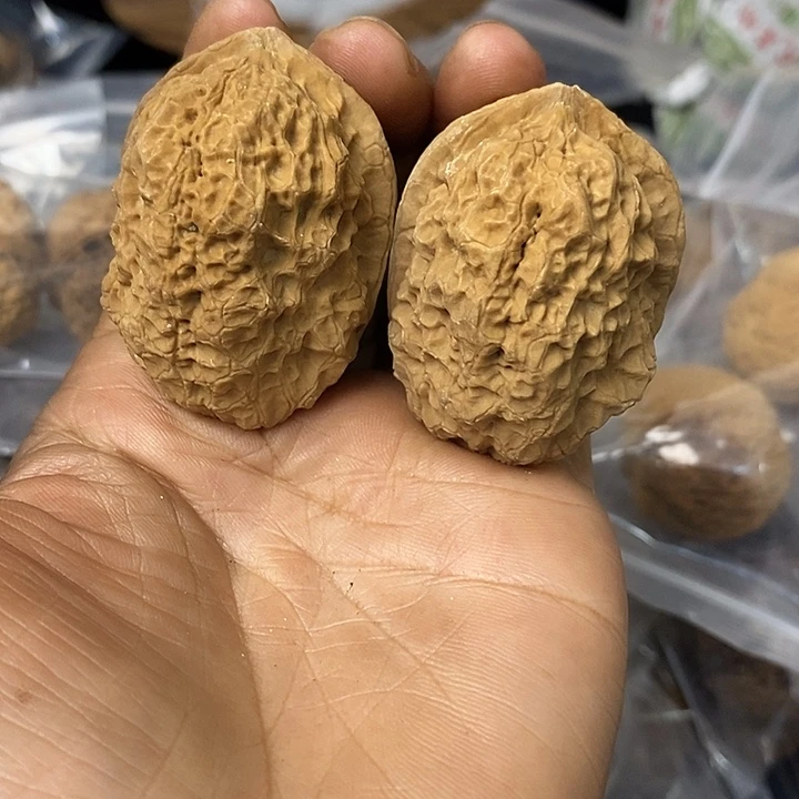 核桃云南铁核桃基地59